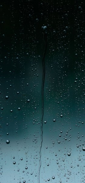 file_88356504