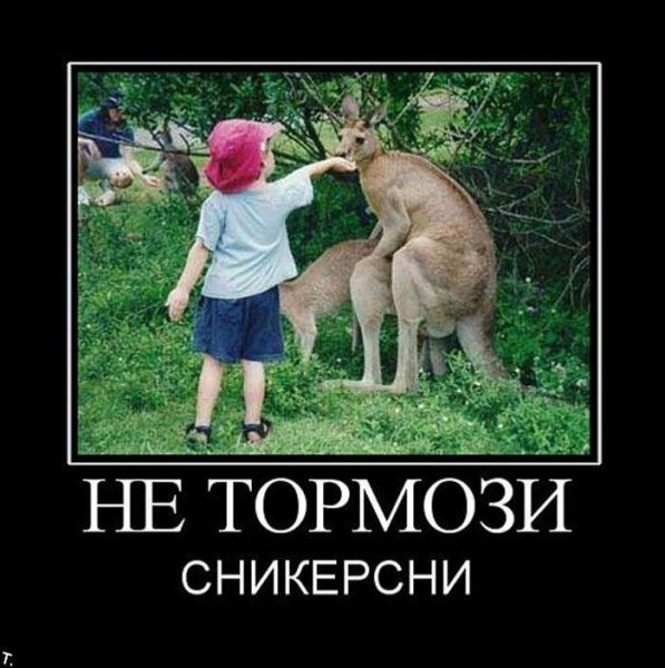 e70fc9467f0453d58b73e25ae96a