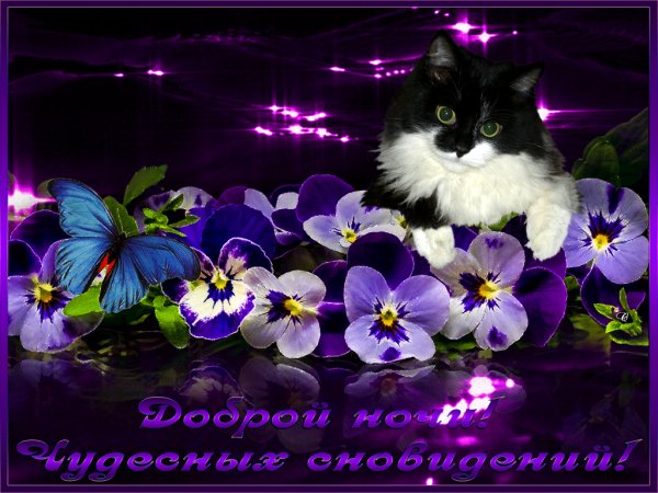 file_75320915