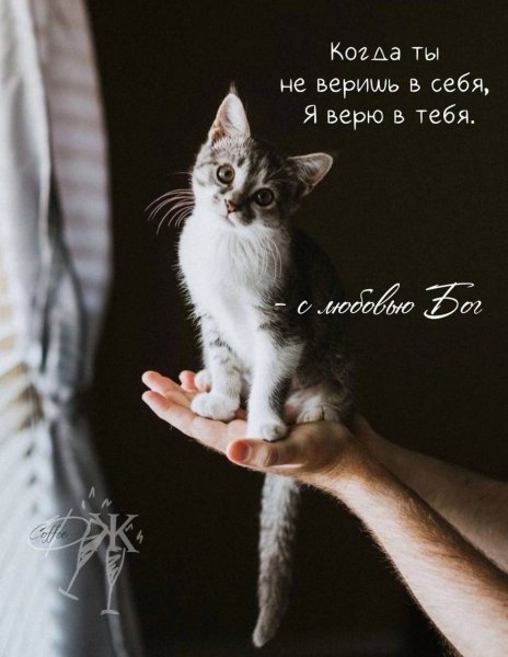 IMG 20251101 103431 835