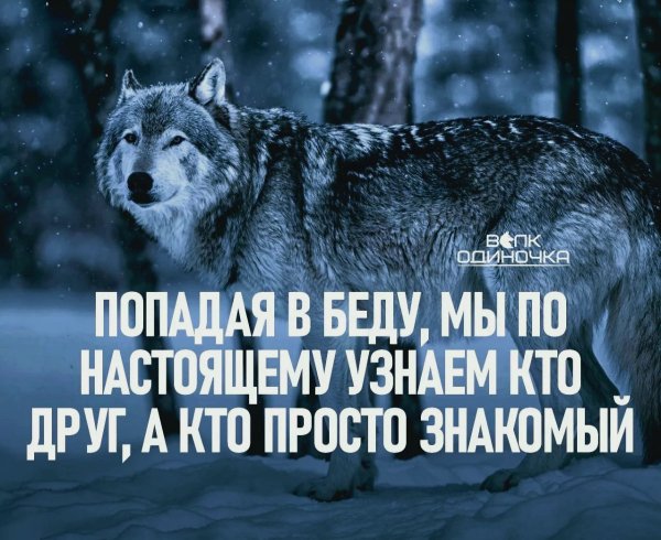 file_99841642