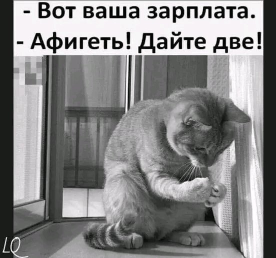 file_103078822
