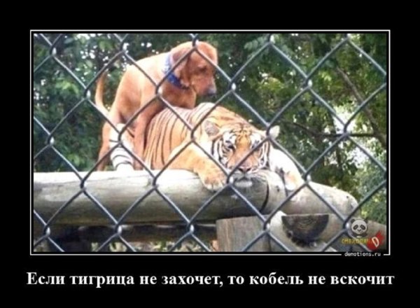 Как-то так