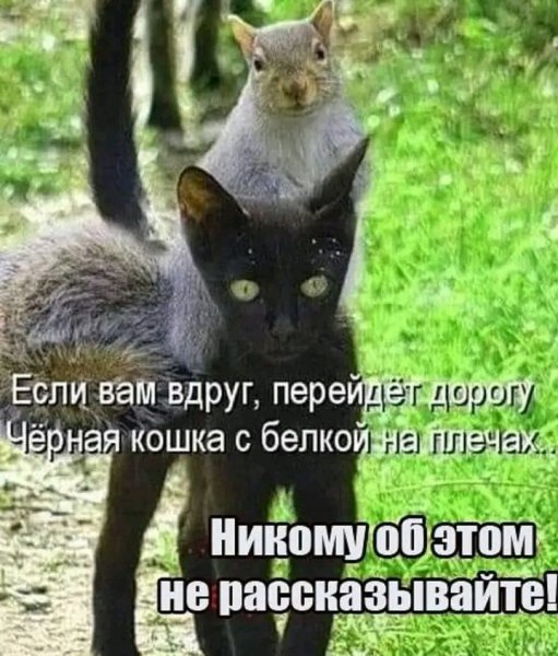 file_103381462