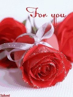 file_52354010