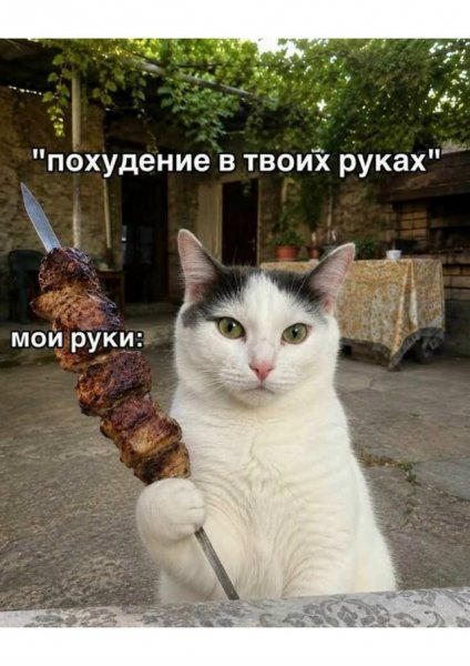 file_103313967