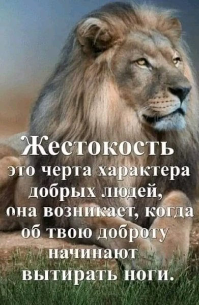 file_95958295