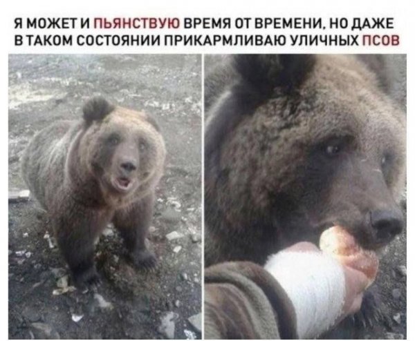 file_103328381