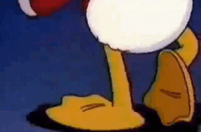duck