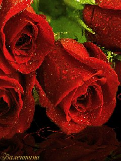 file_65247644