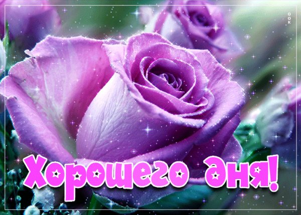 хорошего дня 132000