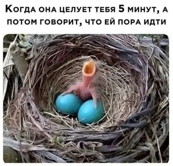 FB IMG 1766053631221