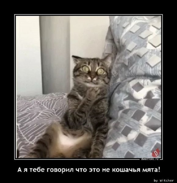 А я тебе говорил...