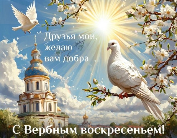IMG 20260405 095410