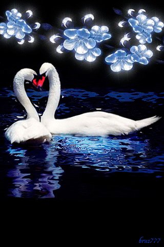 file_48130327