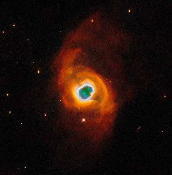 KOHOUTEK 4-55