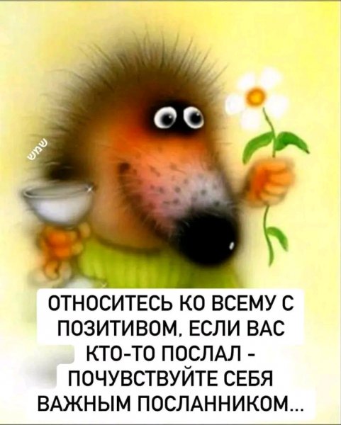 file_103311018