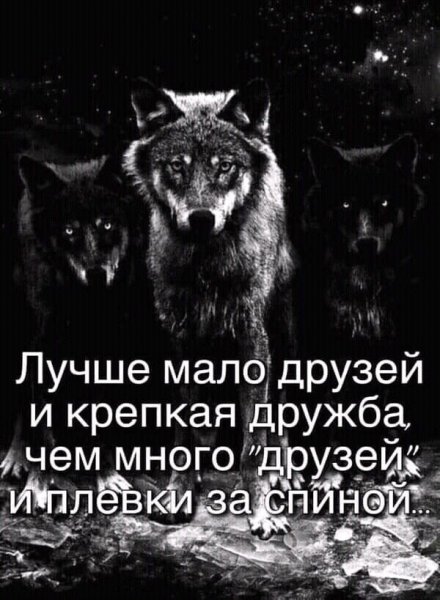 IMG 20260301 170400