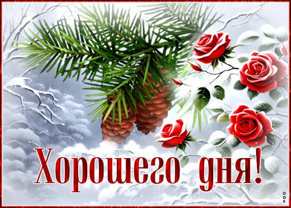 IMG 20240118 123631