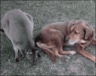Друзья