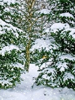 file_71289715