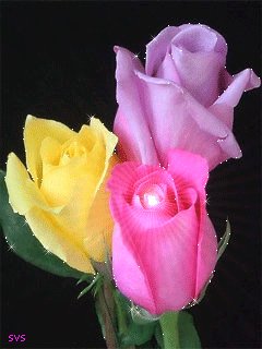 file_55779259