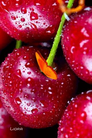 file_72776001