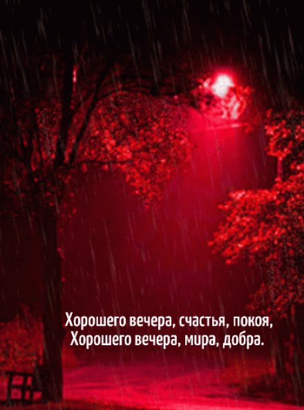 Добрый вечер