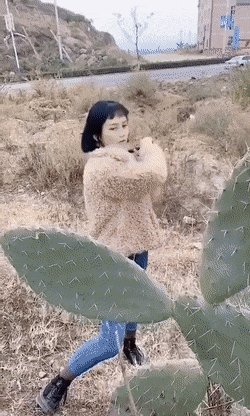 Месть кактуса