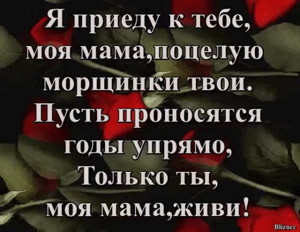 gif 1476478443