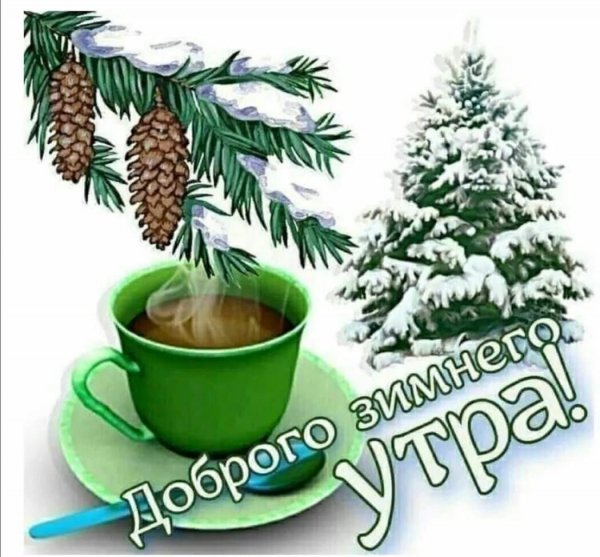IMG 20221211 072711