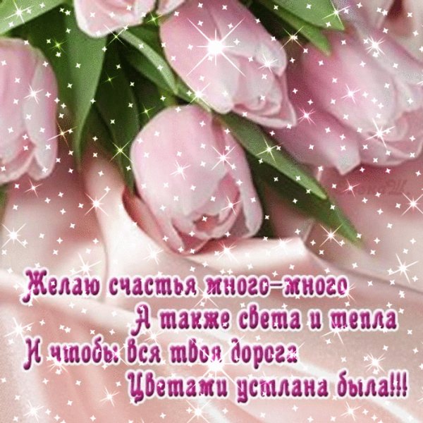 file_51977274