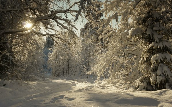 Image (1)