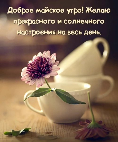 IMG-20250506-WA0002