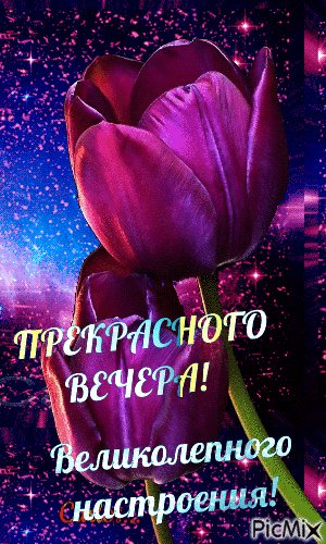 Анимированная открытка прекрасного вечера