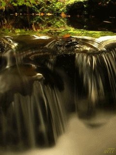 file_56560230