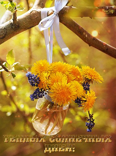 file_46260319