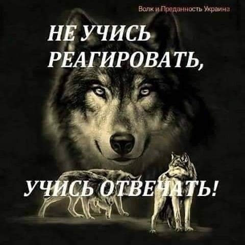 21deff8708c69ebe1497a82486568d08