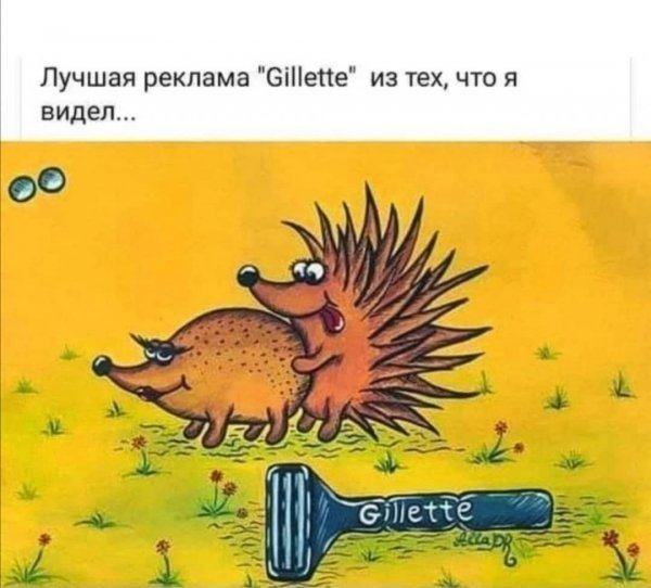 p.600.600.0