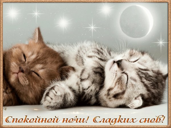 file_73767135