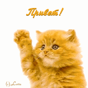 image:13915