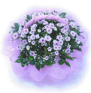 file_54828481