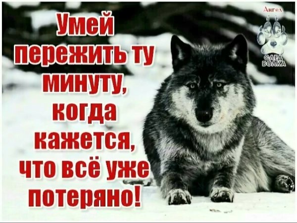 file_101820191