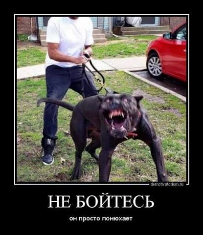 Images (14)