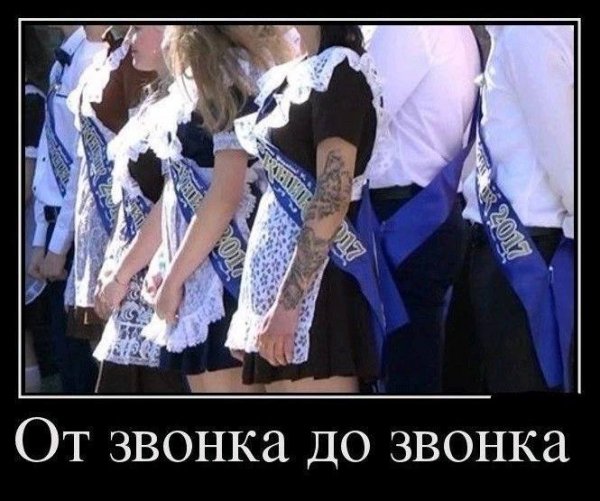 IMG 20240220 165222 425