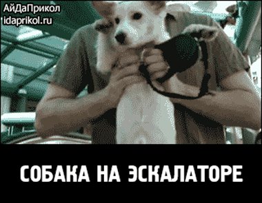 3b19bf82aebda245066d7a34b10caf68a86fae09