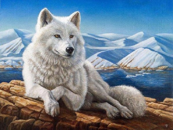 17cl4rHt0QI