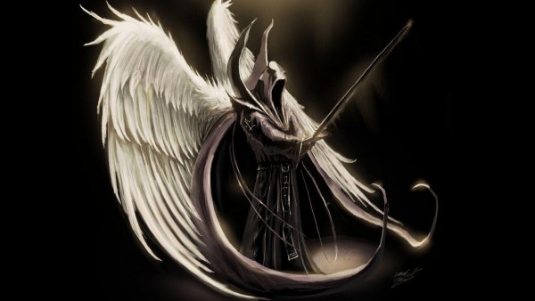 Image (126)