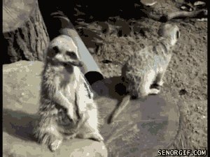 Хочу спать