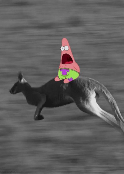 Go